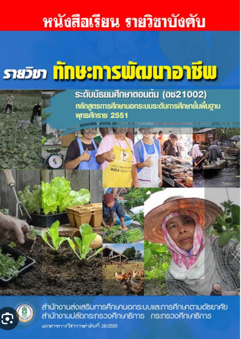 ทักษะการพัฒนาอาชีพ