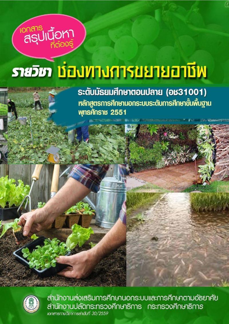 ช่องทางการขยายอาชีพ